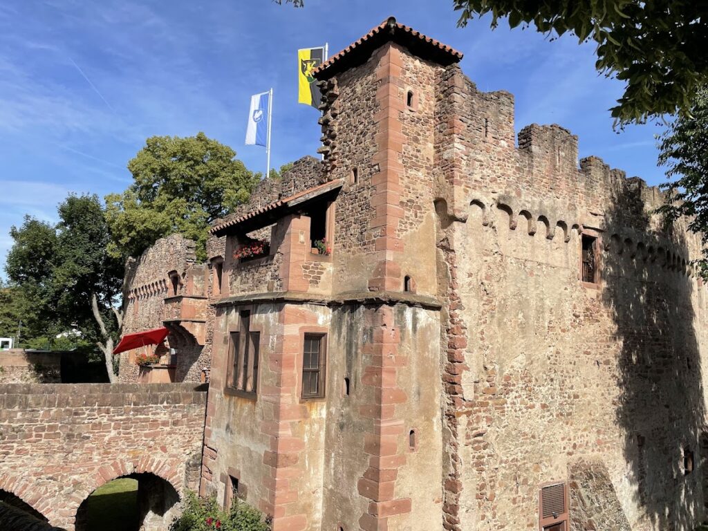 Tiefburg Handschuhsheim: A Medieval Water Castle in Heidelberg 3 Tiefburg Handschuhsheim