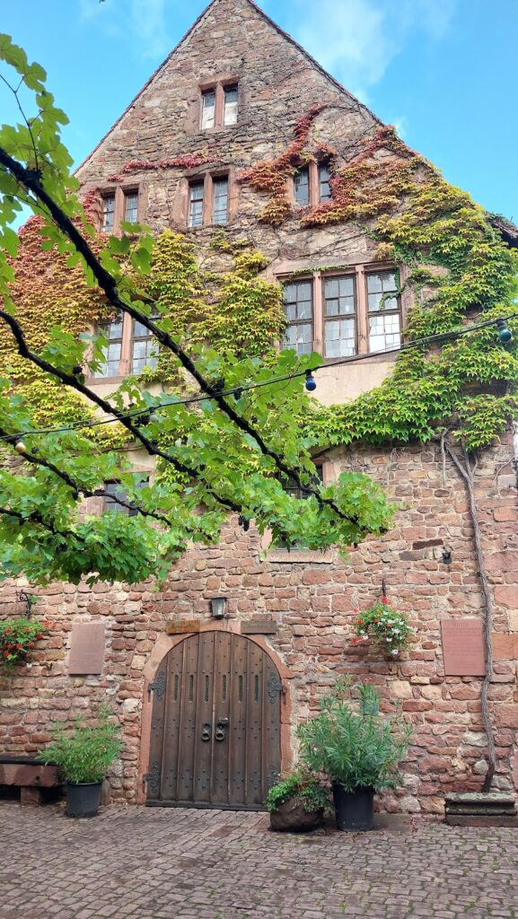 Tiefburg Handschuhsheim: A Medieval Water Castle in Heidelberg 5 Tiefburg Handschuhsheim