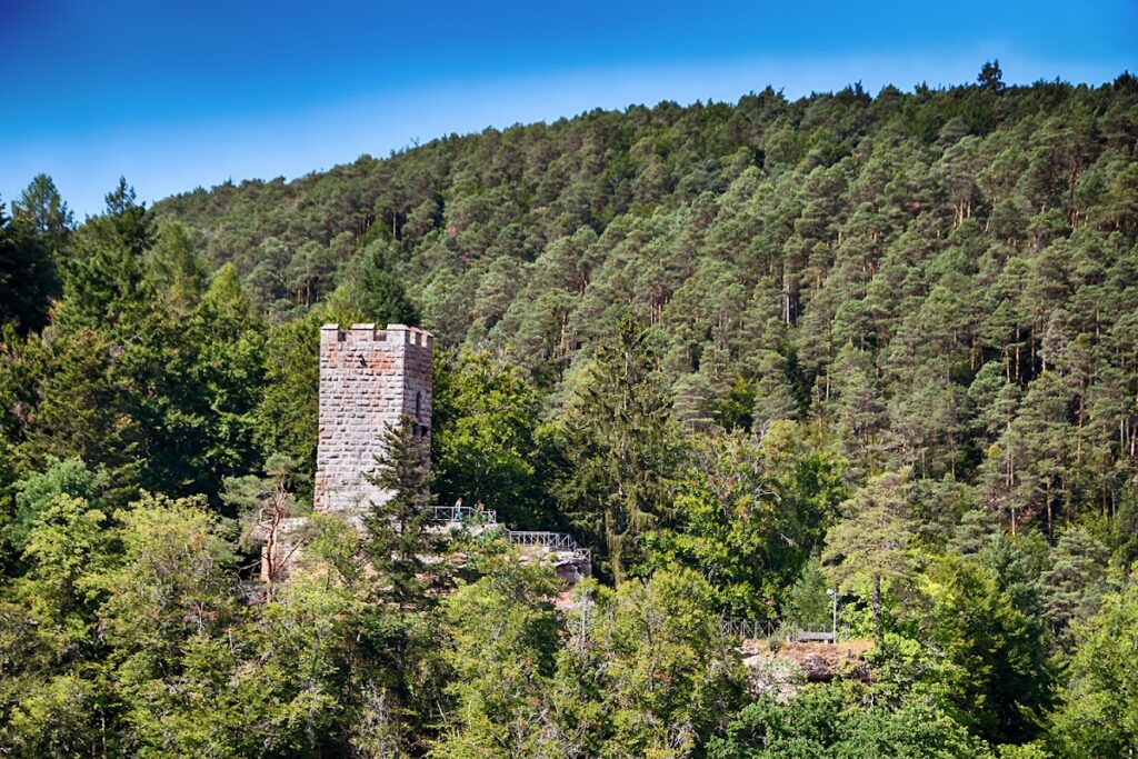 Erfenstein Castle: A Medieval Hill Castle in Germany 2 Erfenstein Castle