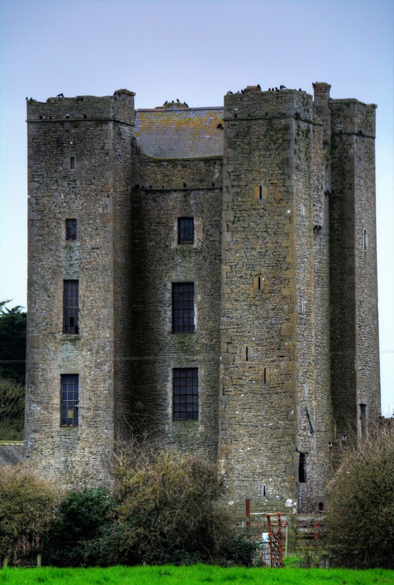Dunsoghly Castle: a fifteenth-century Plunket tower house in County Dublin