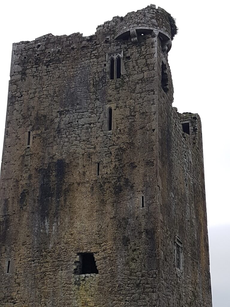 Grallagh Castle: A Butler Tower House in Ireland