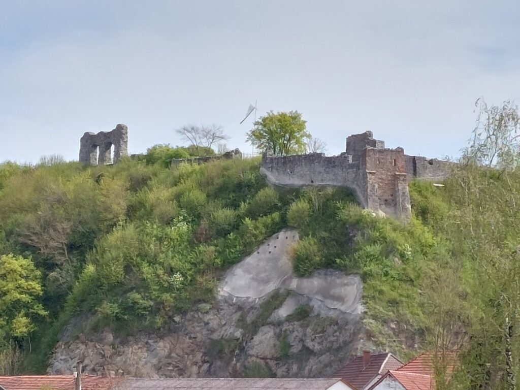 Schloss Oberwinzer