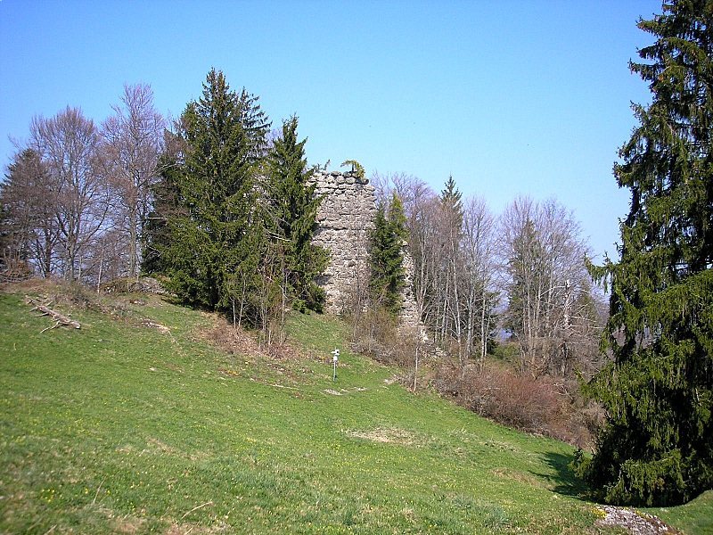 Burg Rettenberg: A Medieval Lords’ Seat in Germany 1 Burg Rettenberg
