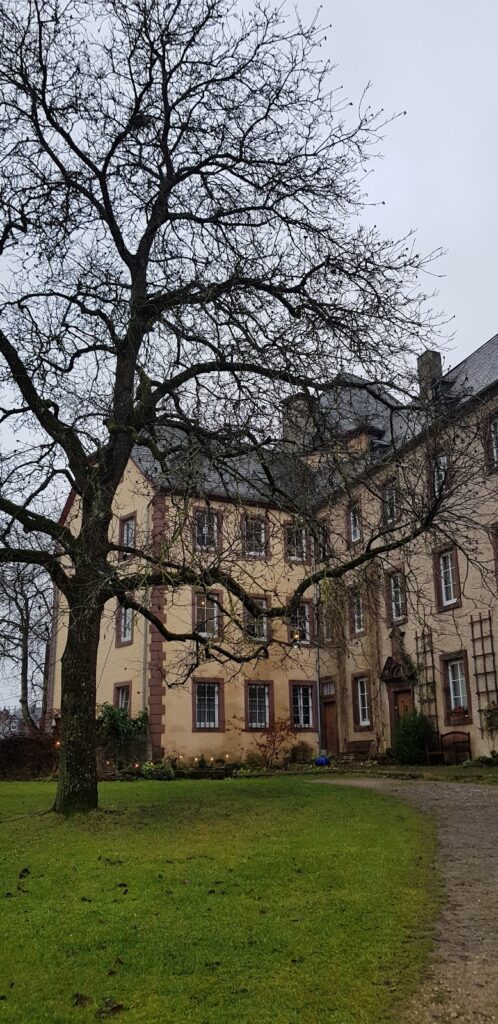 Dudeldorf Castle: Medieval Tower House and Eighteenth-Century Manor 2 Dudeldorf Castle