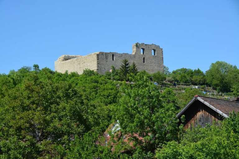 Altsachsenheim: A Medieval Hilltop Castle in Germany