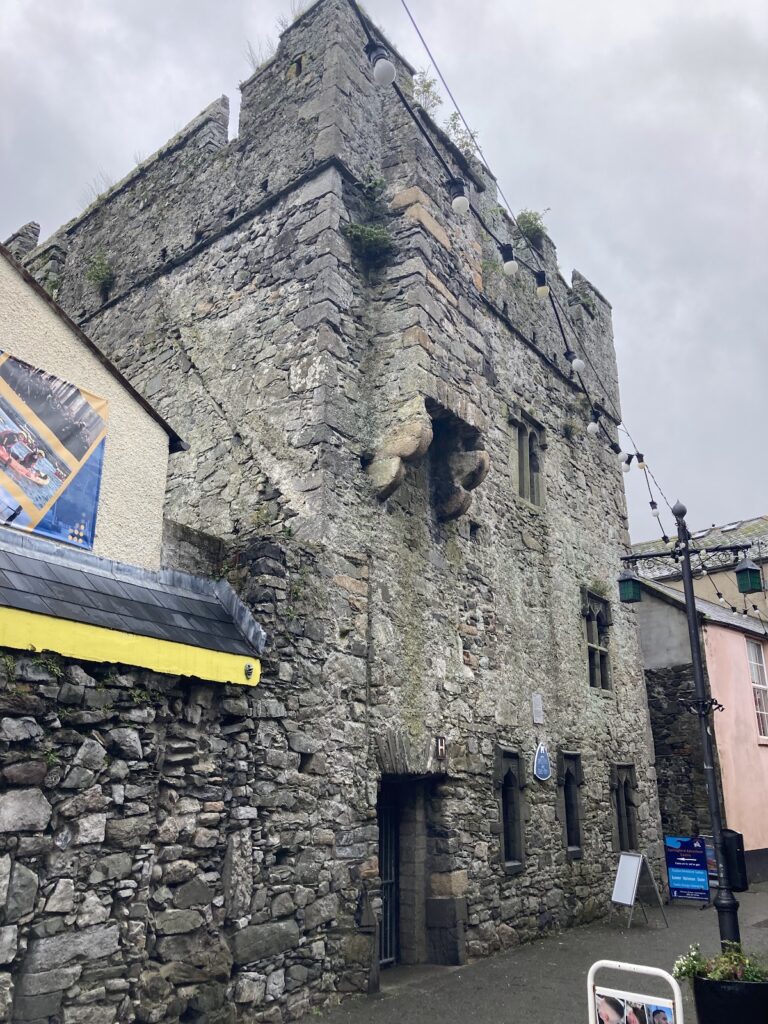Carlingford Mint Tower: a late medieval fortified tower house in Ireland