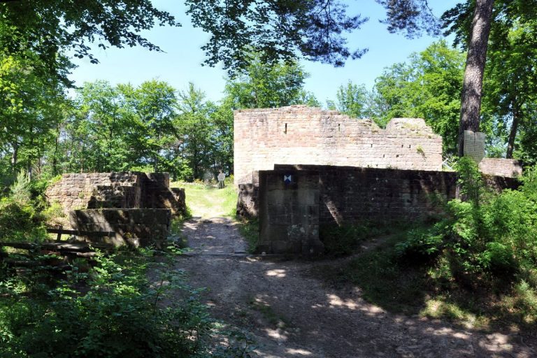 Schlössel: An Archaeological Castle Ruin near Klingenmünster, Germany