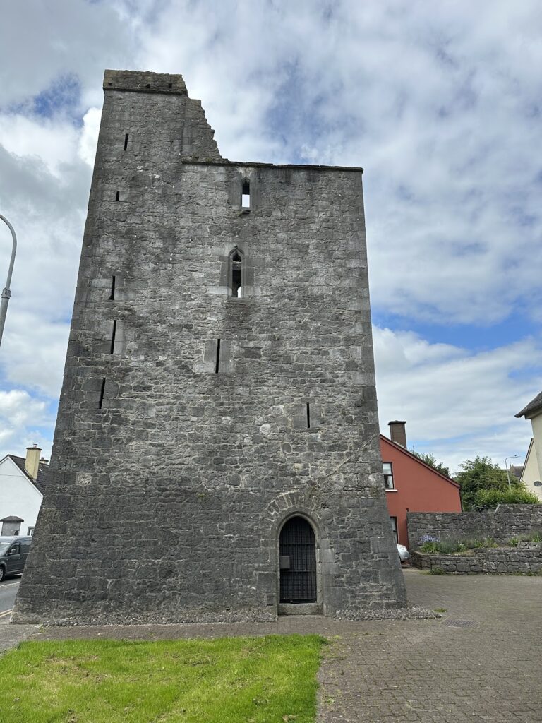 Maudlin Castle: A Hospital-Associated Tower House in Kilkenny
