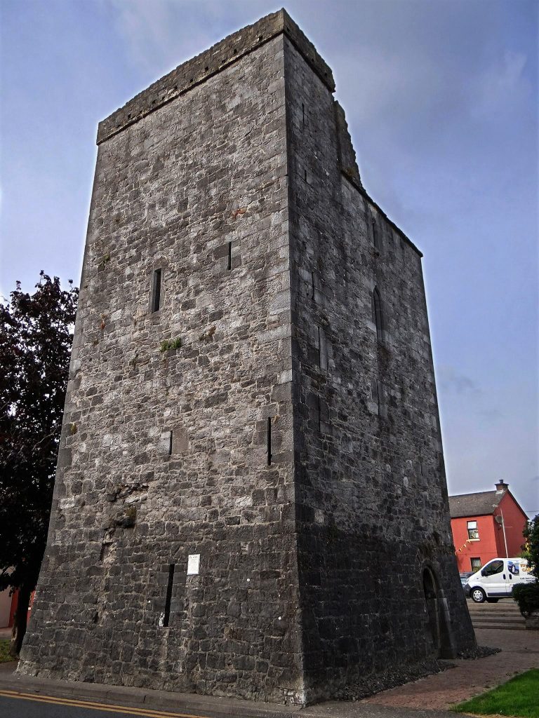Maudlin Castle: A Hospital-Associated Tower House in Kilkenny