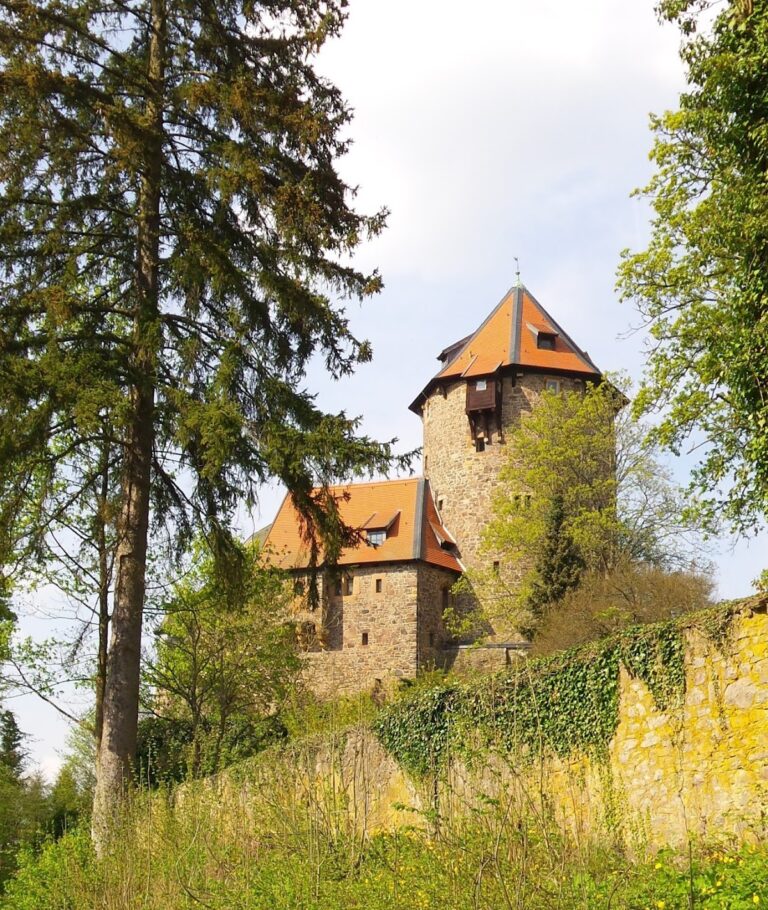 Burg Lichtenfels: A Hilltop Castle in Germany