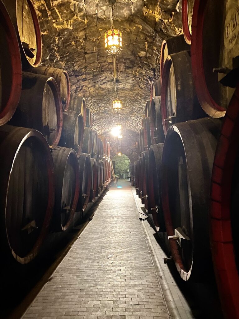 Castle Labers: A Medieval Noble Residence in Merano, Italy 3 Castle Labers