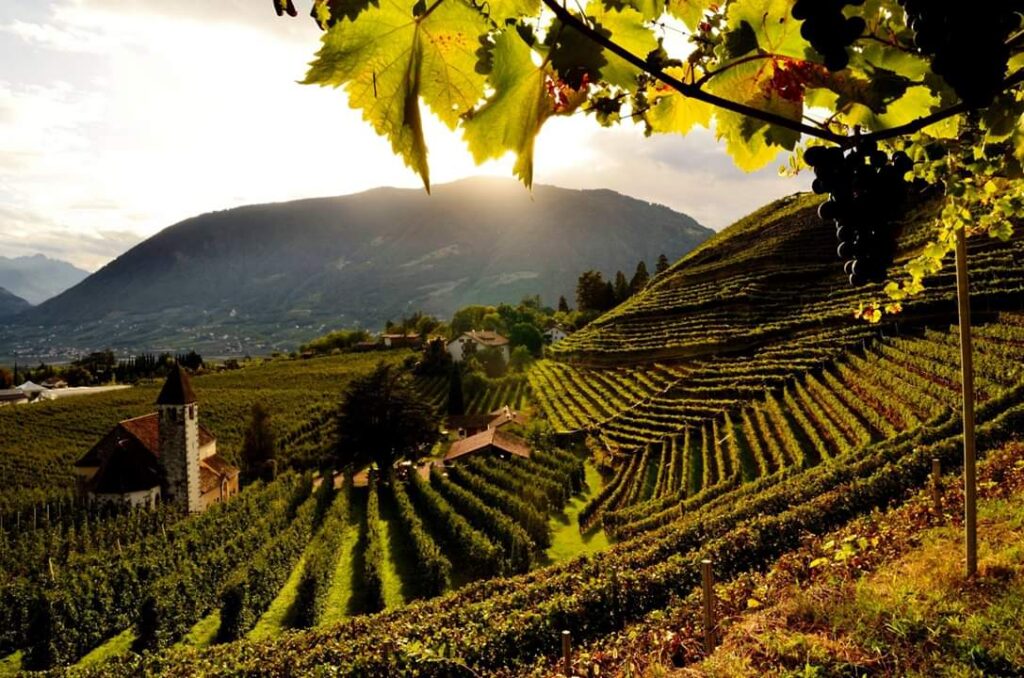 Castle Labers: A Medieval Noble Residence in Merano, Italy 4 Castle Labers