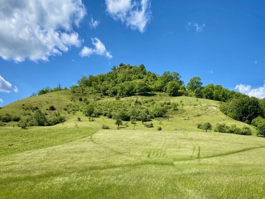 Achalm Castle: A Medieval Hilltop Fortress Above Reutlingen 4 Achalm Castle