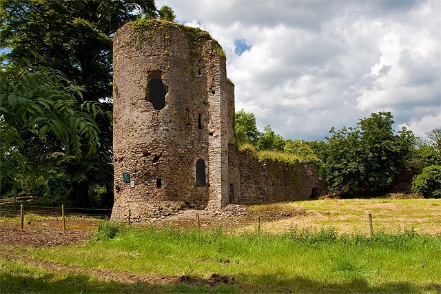 Kilbolane Castle: A Fifteenth- or Sixteenth-Century Fortification in Ireland