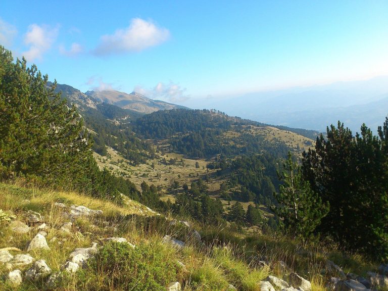 Tomornitsa: An Ancient and Medieval Fortress in Albania