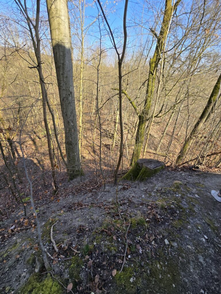 Burg Winzenburg: A Medieval Hilltop Castle in Germany 2 Burg Winzenburg