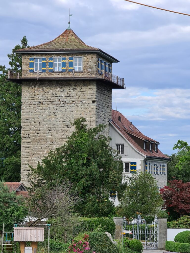 Sulzberg Castle: A Medieval Administrative and Residential Stronghold in Switzerland