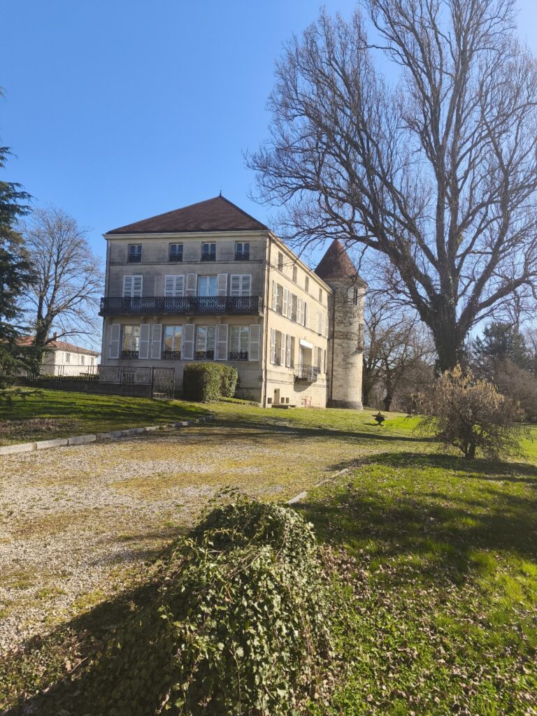 Castle of Saint-Dizier: A Historic Fortress and Subprefecture in France 2 castle of Saint-Dizier