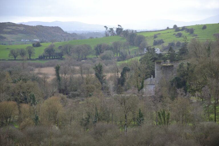 Bourchier Tower: A Norman-Style Towerhouse in Ireland