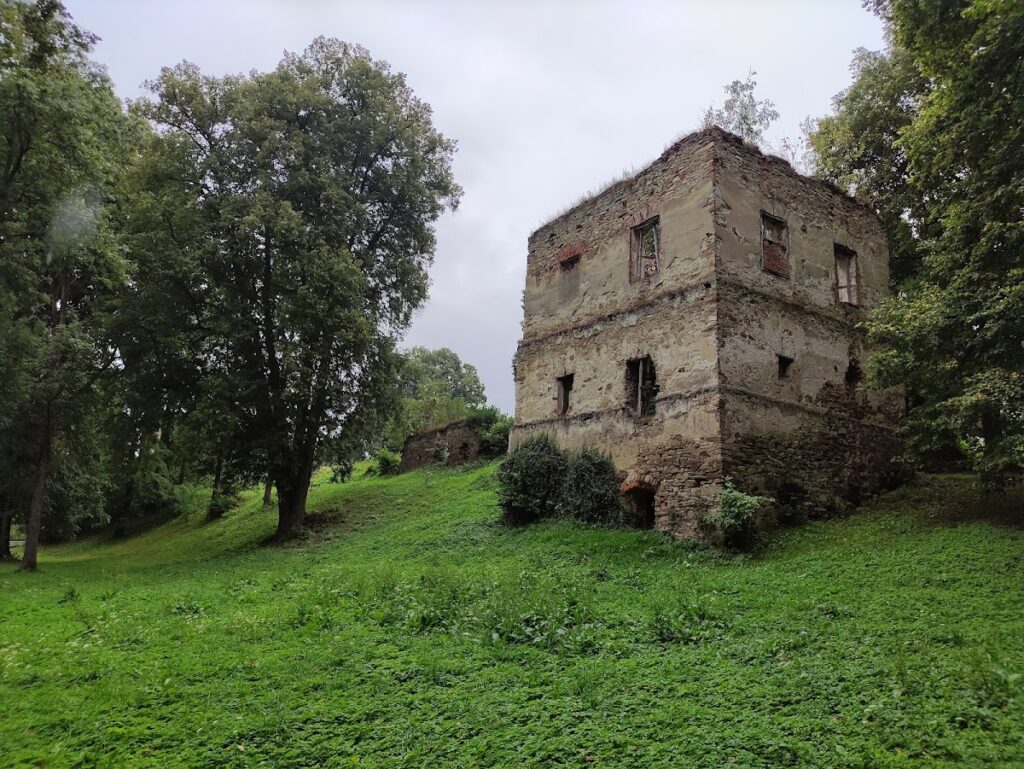 Castle in Dąbrówka Starzeńska