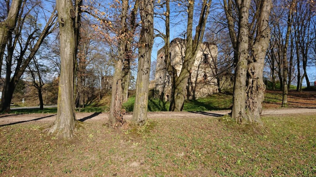 Castle in Dąbrówka Starzeńska