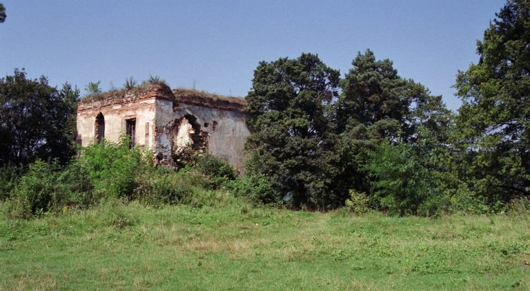 Castle in Dąbrówka Starzeńska: A Historic Polish Noble Residence and Fortified Estate