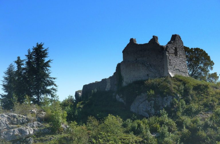 Château de Chaumont: A Medieval Fortified Castle in France