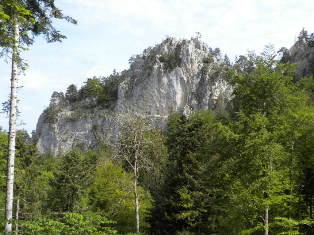Spiegelberg Ruins: A Medieval Castle in Switzerland 1 Spiegelberg ruins