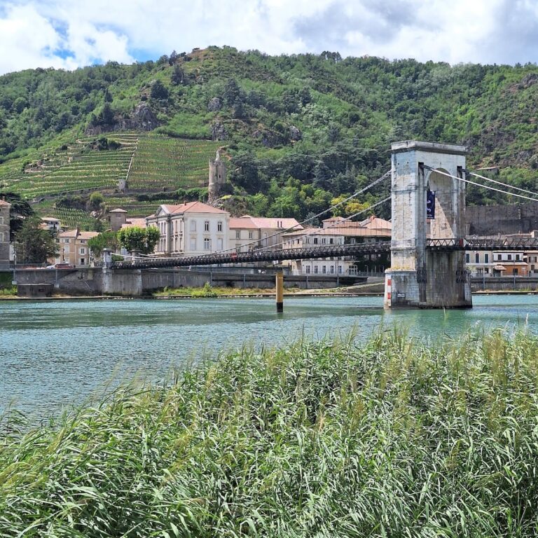 Tournon Castle: A Historic Fortress in France