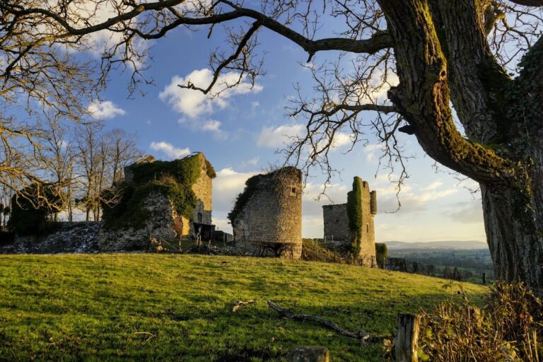 Sigy-le-Châtel Castle: A Medieval Fortified Residence in France