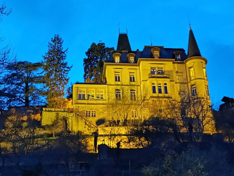 Burg Winzingen: A Medieval Hilltop Castle Ruin in Germany