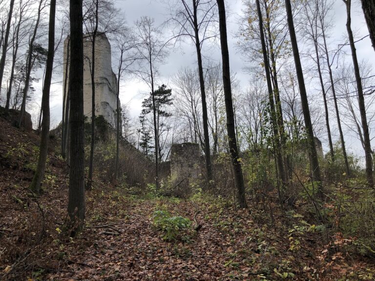 Ruinen Thernberg: The Ruins of Thernberg Castle and Palace in Austria