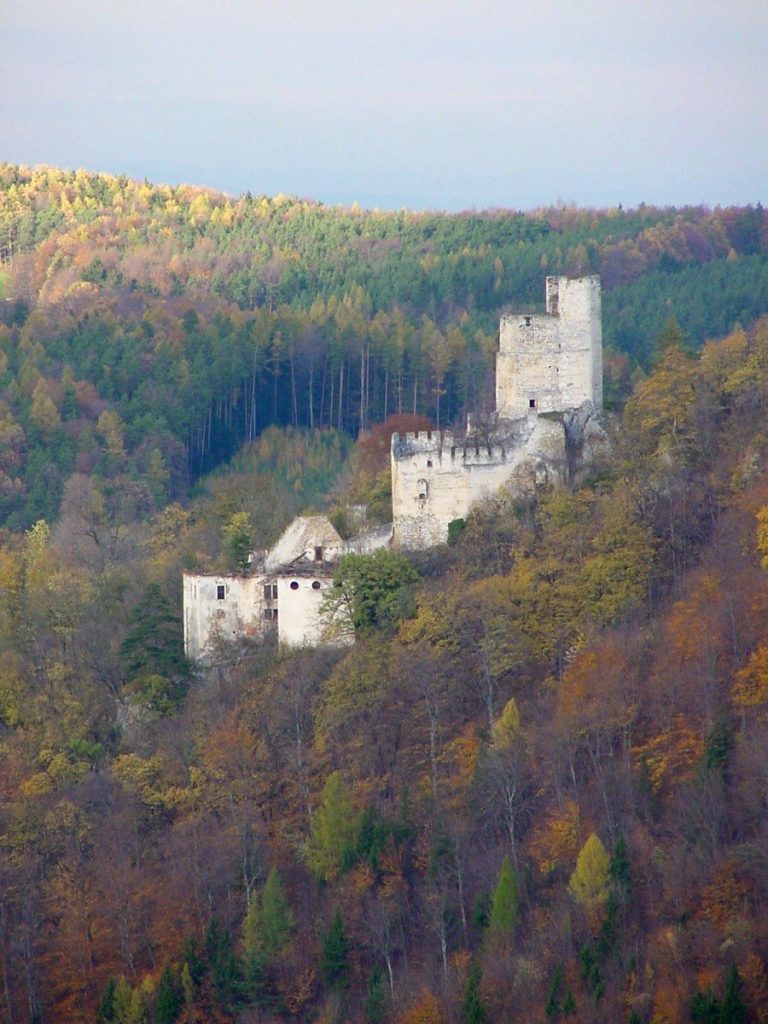 Ruinen Thernberg: The Ruins of Thernberg Castle and Palace in Austria