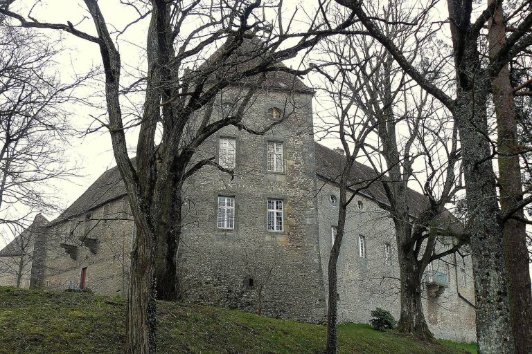 Château de Brandon: A Fortified Castle in France