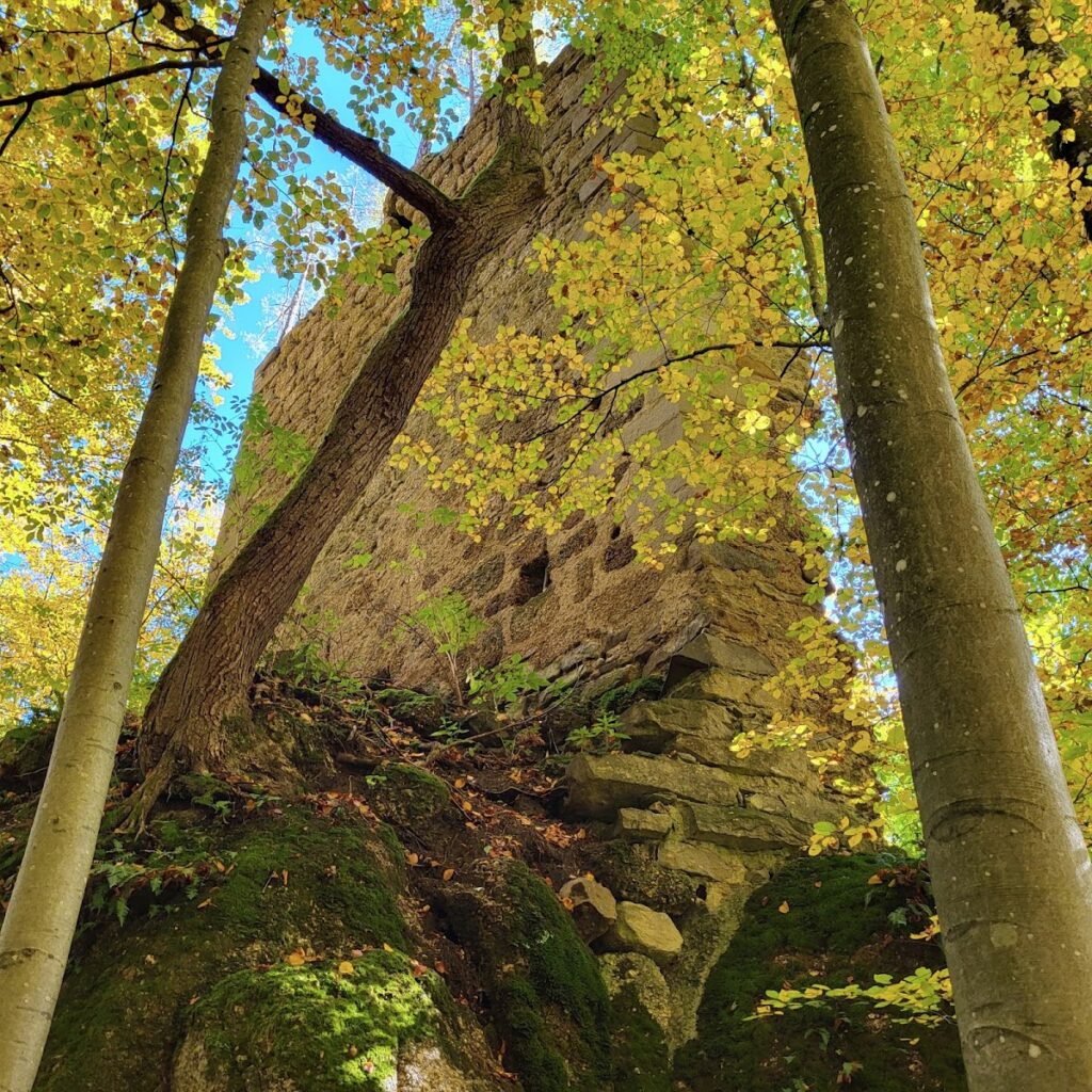 Burgruine Saxenegg: The Ruins of a Thirteenth-Century Hilltop Castle in Austria 2 Burgruine Saxenegg