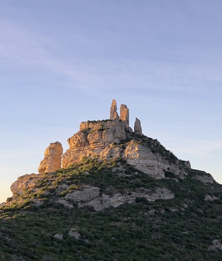 El Castellar: A Multiperiod Archaeological Complex beside the Ebro