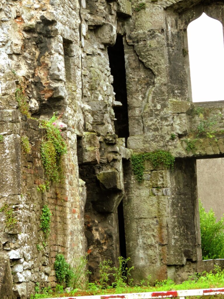 Fanning's Castle: A Tower House in Limerick, Ireland 2 Fanning's Castle