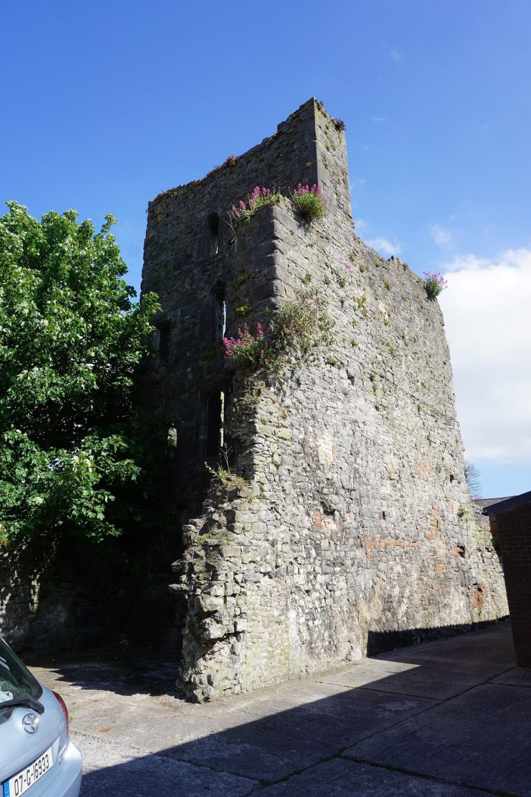 Fanning’s Castle: A Tower House in Limerick, Ireland