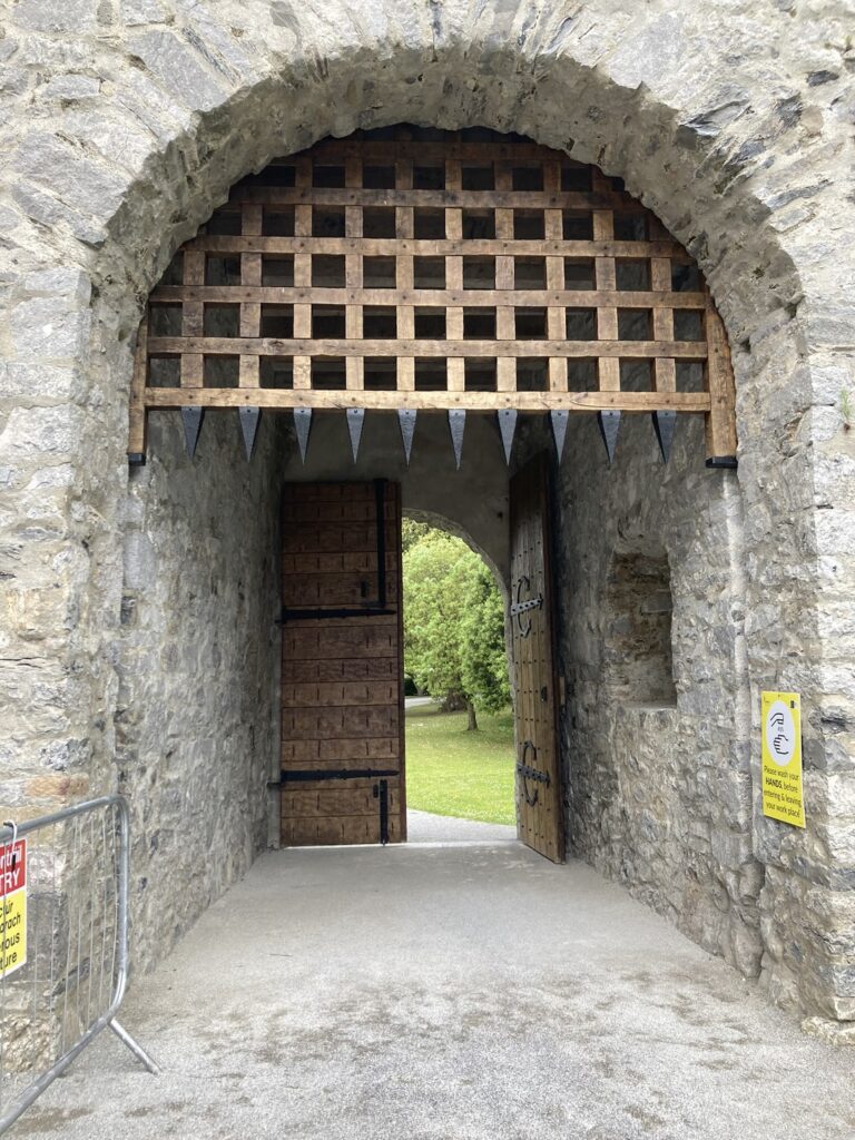 Adare Desmond Castle