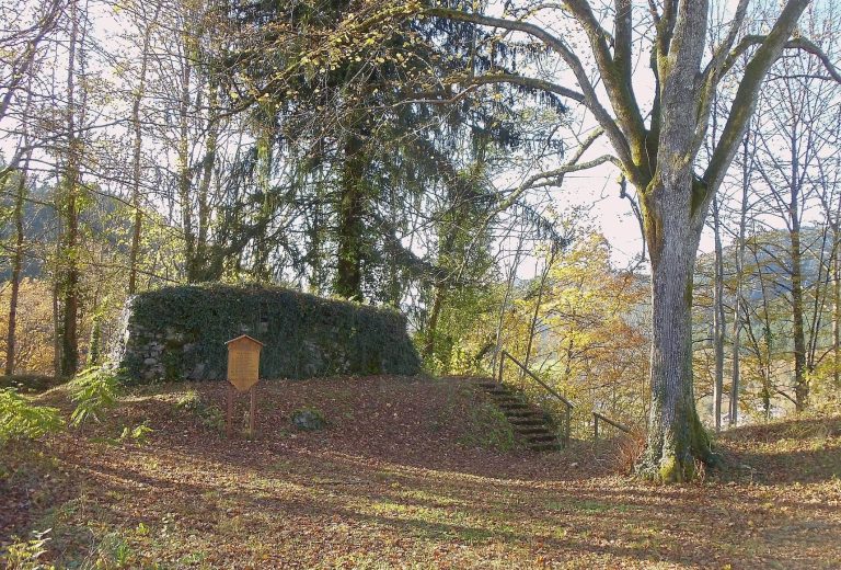 Ruine Schiltach: Remains of a Medieval Hilltop Castle in Germany