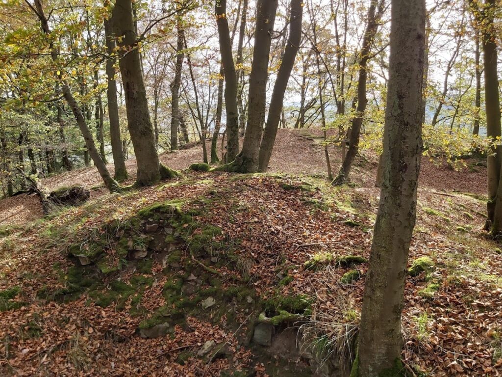 Ehrenburg: A Hilltop Spur Castle in Germany 2 Ehrenburg