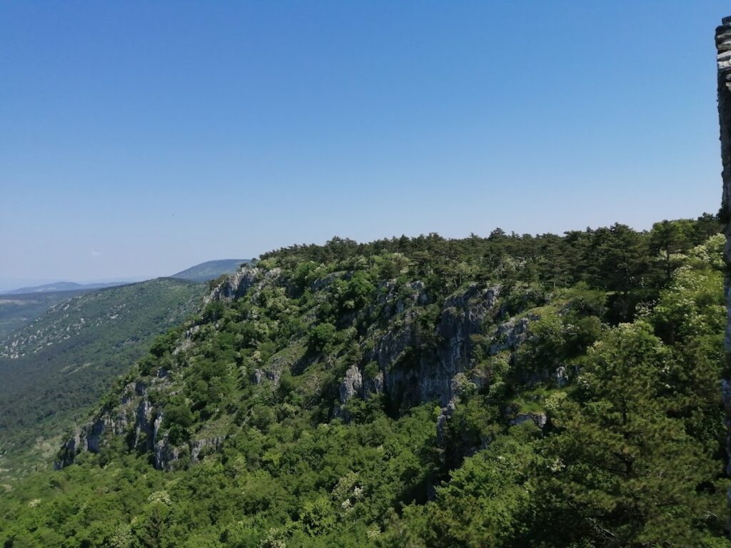 Socerb Castle: Medieval Fortress in Slovenia 5 Socerb Castle