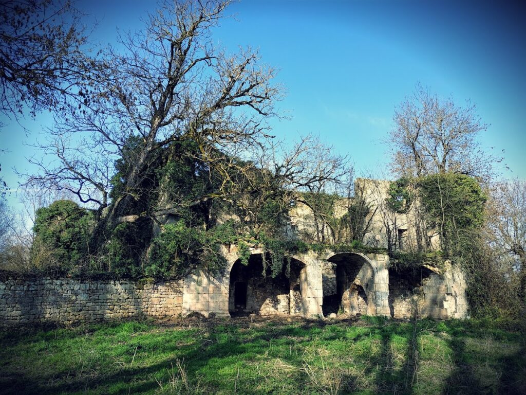 Château de Vibrac: A Medieval Fortress and River Island Estate in France 1 Château de Vibrac