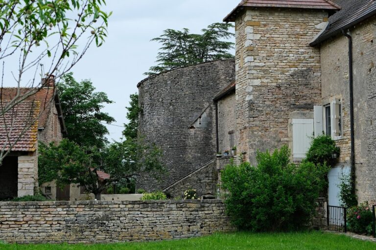 Château de Savigny-sur-Grosne: A Fortified Château in France