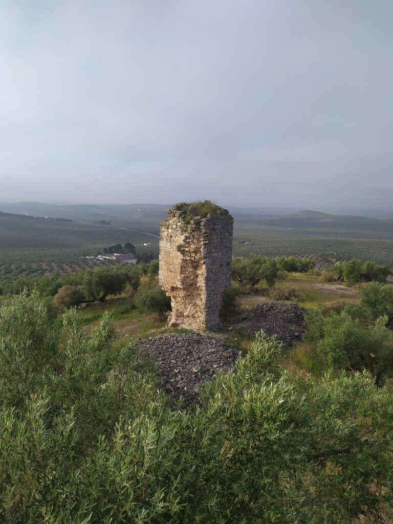 Torre Benzalá: A Medieval Rural Castle in Jaén, Spain 2 Torre Benzalá