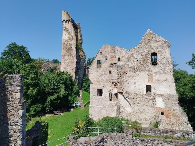 Schaunberg Castle Ruins: Ancestral Seat of the Counts of Schaunberg in Austria