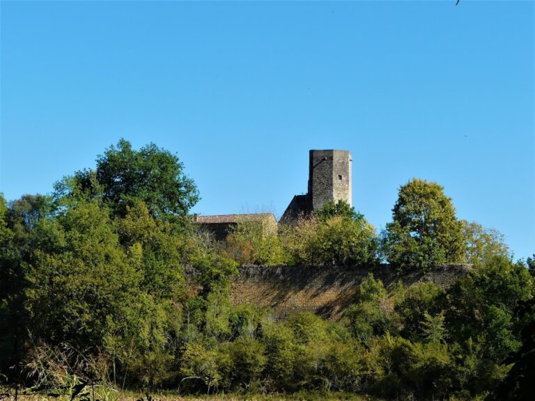Château de la Rue (Lalinde): A Historic French Castle