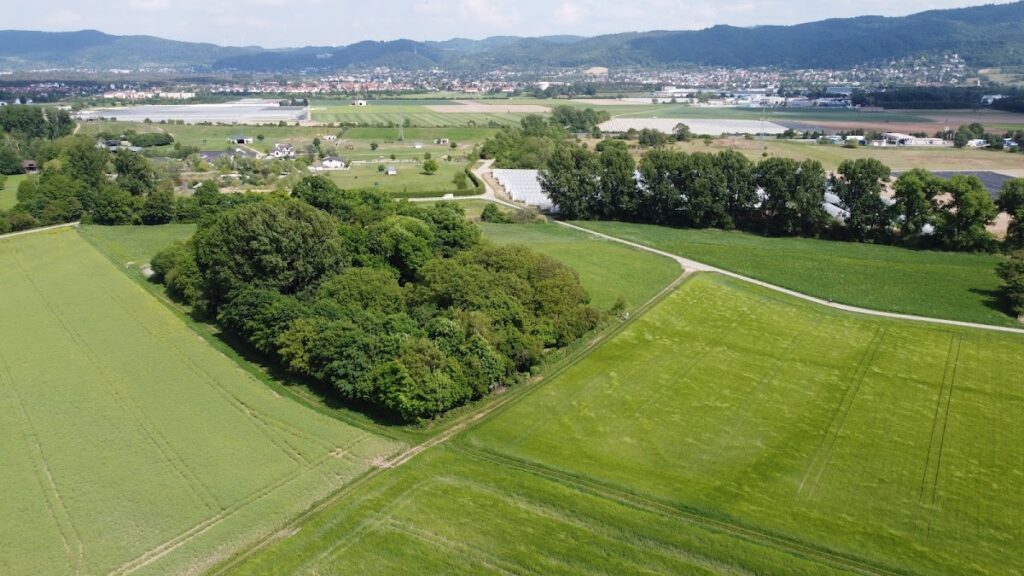 Weilerhügel: A Medieval Motte-and-Bailey Castle in Germany 2 Weilerhügel