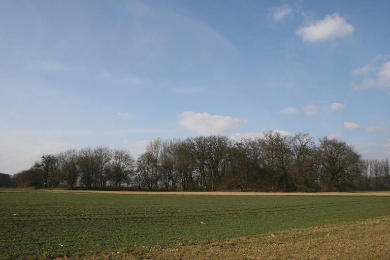 Weilerhügel: A Medieval Motte-and-Bailey Castle in Germany