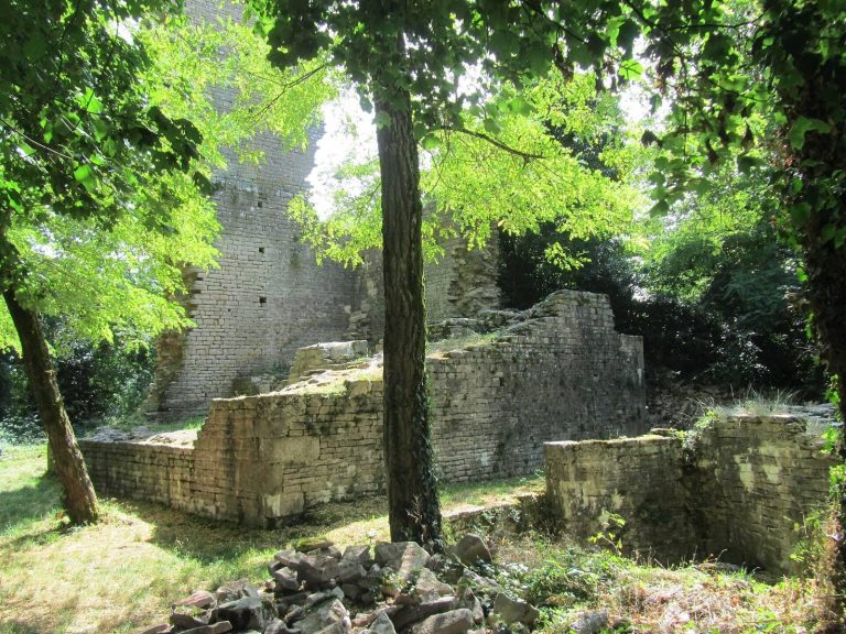 Montaigu Castle: A Medieval Fortress in France